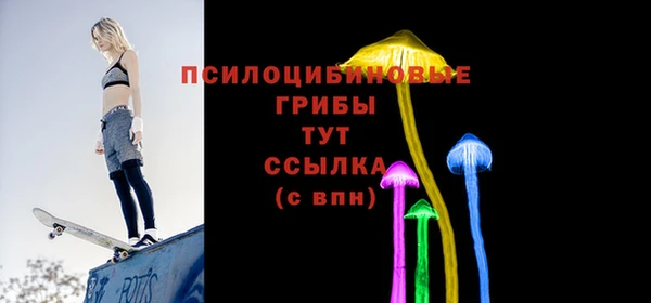 спиды Алзамай