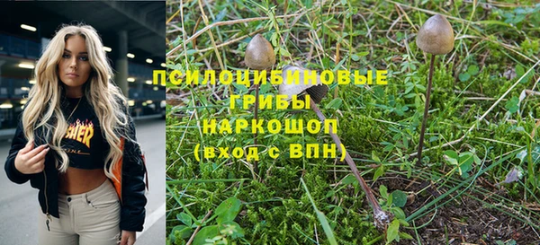 спиды Алзамай