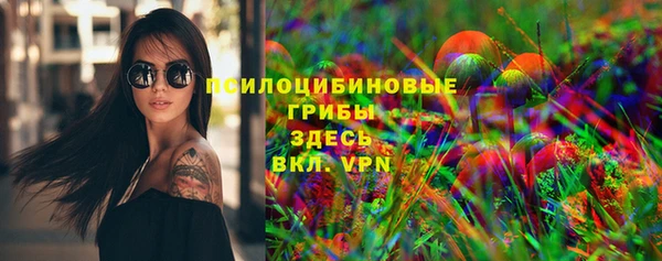 apvp Арсеньев
