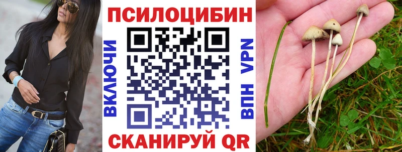 Галлюциногенные грибы Psilocybine cubensis  наркошоп  Нея 