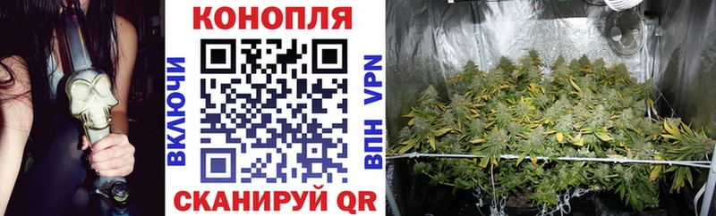 mega зеркало  Нея  Шишки марихуана семена  маркетплейс как зайти  магазин продажи наркотиков 